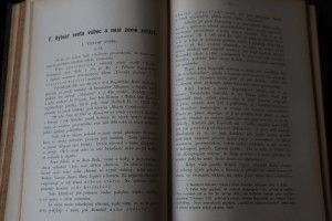 náhled knihy - 
