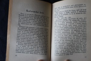 náhled knihy - 