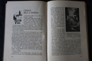 náhled knihy - 