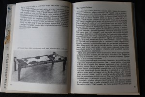 náhled knihy - 