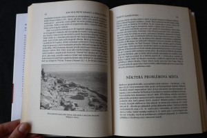 náhled knihy - 