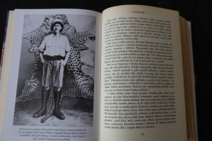 náhled knihy - 