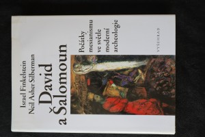 náhled knihy - David a Šalomoun : počátky mesianismu ve světle moderní archeologie