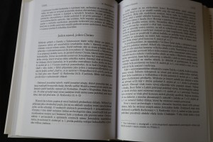 náhled knihy - 