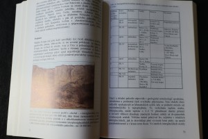 náhled knihy - 