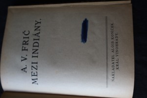 náhled knihy - 
