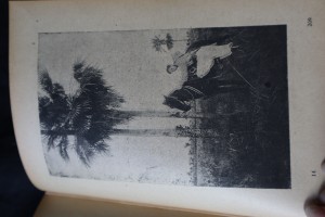 náhled knihy - 