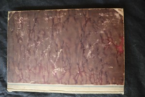 náhled knihy - V Siamu, zemi bílého slona : cestopisné črty