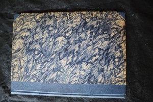 náhled knihy -  Z dalekých světů. II. S LIDOŽROUTY PAPUANY NA LOVU RAJEK