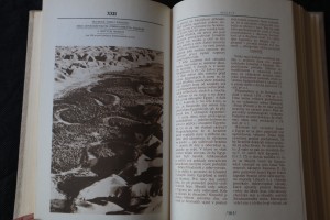 náhled knihy - 