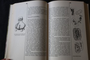 náhled knihy - 