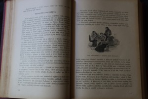 náhled knihy - 