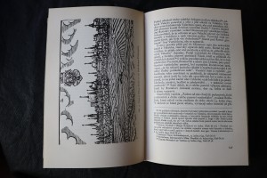 náhled knihy - 