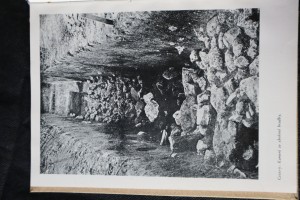 náhled knihy - 