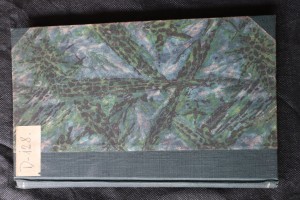 náhled knihy - Sv. Hostýn ve svém původu a svých osudech