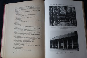 náhled knihy - 