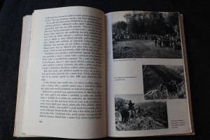 náhled knihy - 