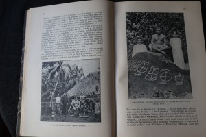 náhled knihy - 