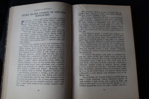 náhled knihy - 
