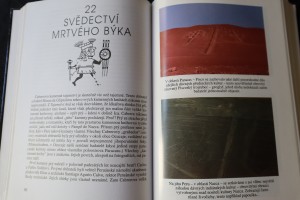 náhled knihy - 
