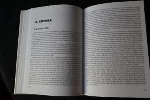 náhled knihy - 