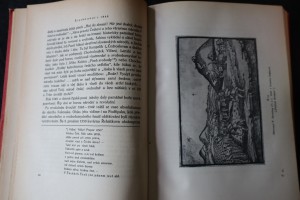 náhled knihy - 