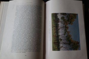 náhled knihy - 