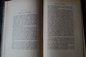 náhled knihy - 