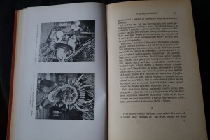 náhled knihy - 