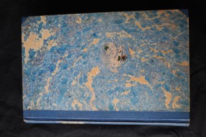 náhled knihy - Věčné Japonsko : cestopis