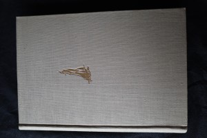 náhled knihy - Plachetkou a letadlem do Ohňové země