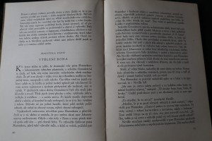 náhled knihy - 