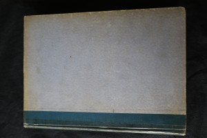 náhled knihy - Tuâreg, poslední Mohykán pravěkého člověka saharského