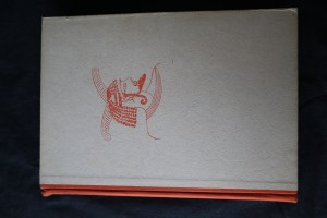 náhled knihy - Zastřená tvář Afriky : Třetí cesta Maghrebem