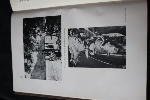 náhled knihy - 