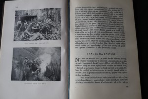 náhled knihy - 