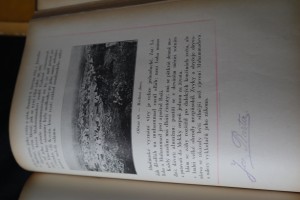 náhled knihy - 