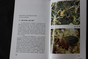 náhled knihy - 