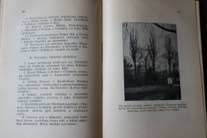 náhled knihy - 