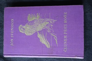 náhled knihy - Člunem přes moře