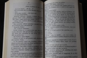 náhled knihy - 