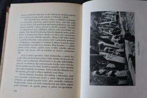 náhled knihy - 
