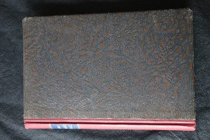 náhled knihy - Slovanské bájesloví : (mythologie)