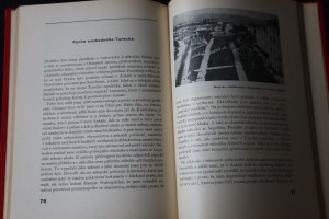 náhled knihy - 