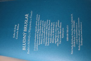 náhled knihy - 