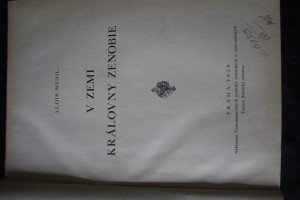 náhled knihy - 