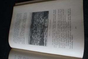 náhled knihy - 