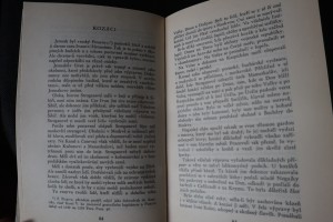 náhled knihy - 