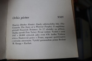 náhled knihy - 