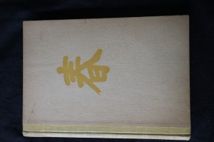 náhled knihy - Do říše zlatého draka